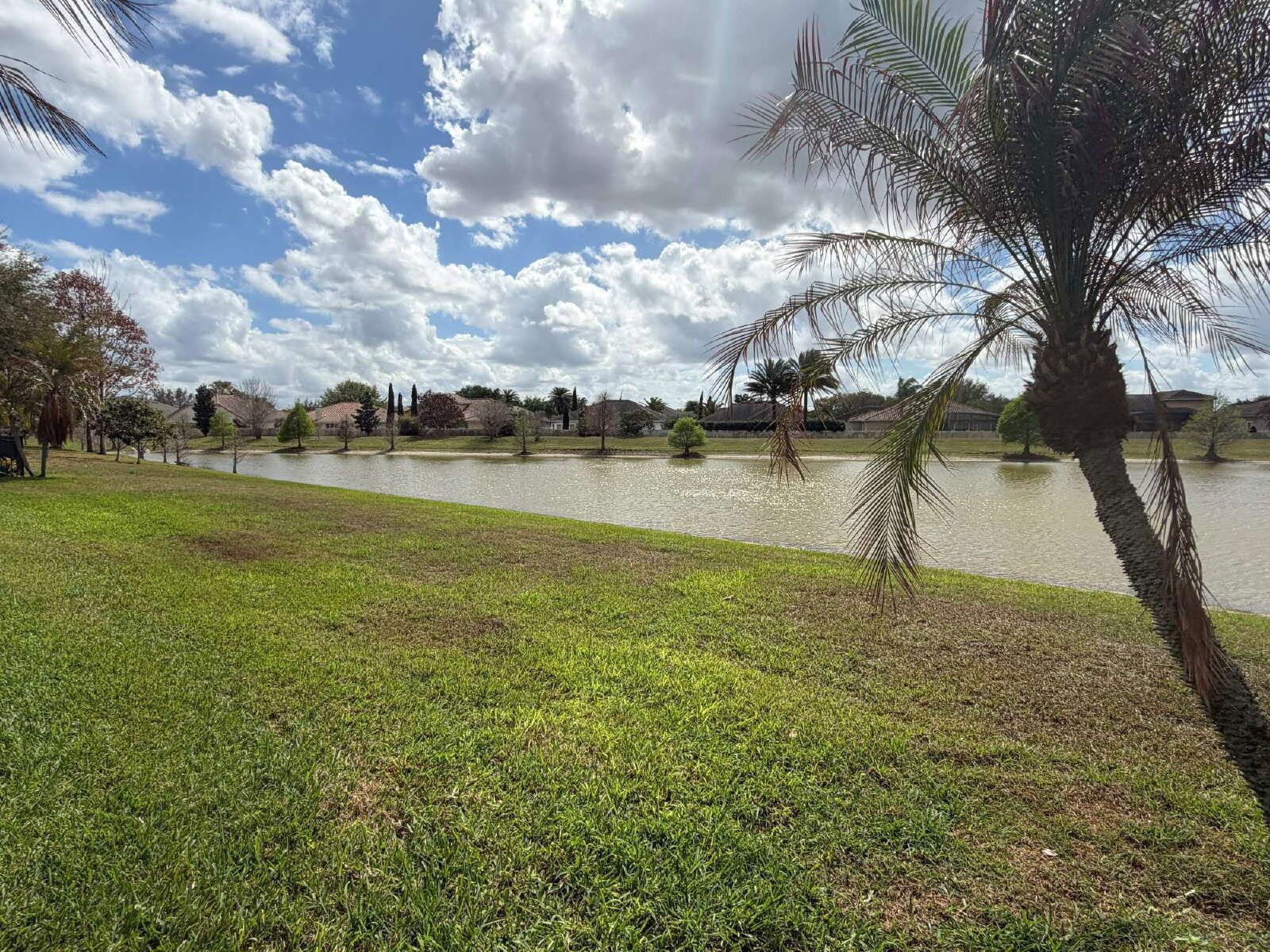 4/3 Luxury Pool Waterfront Home In Belle Isle property image