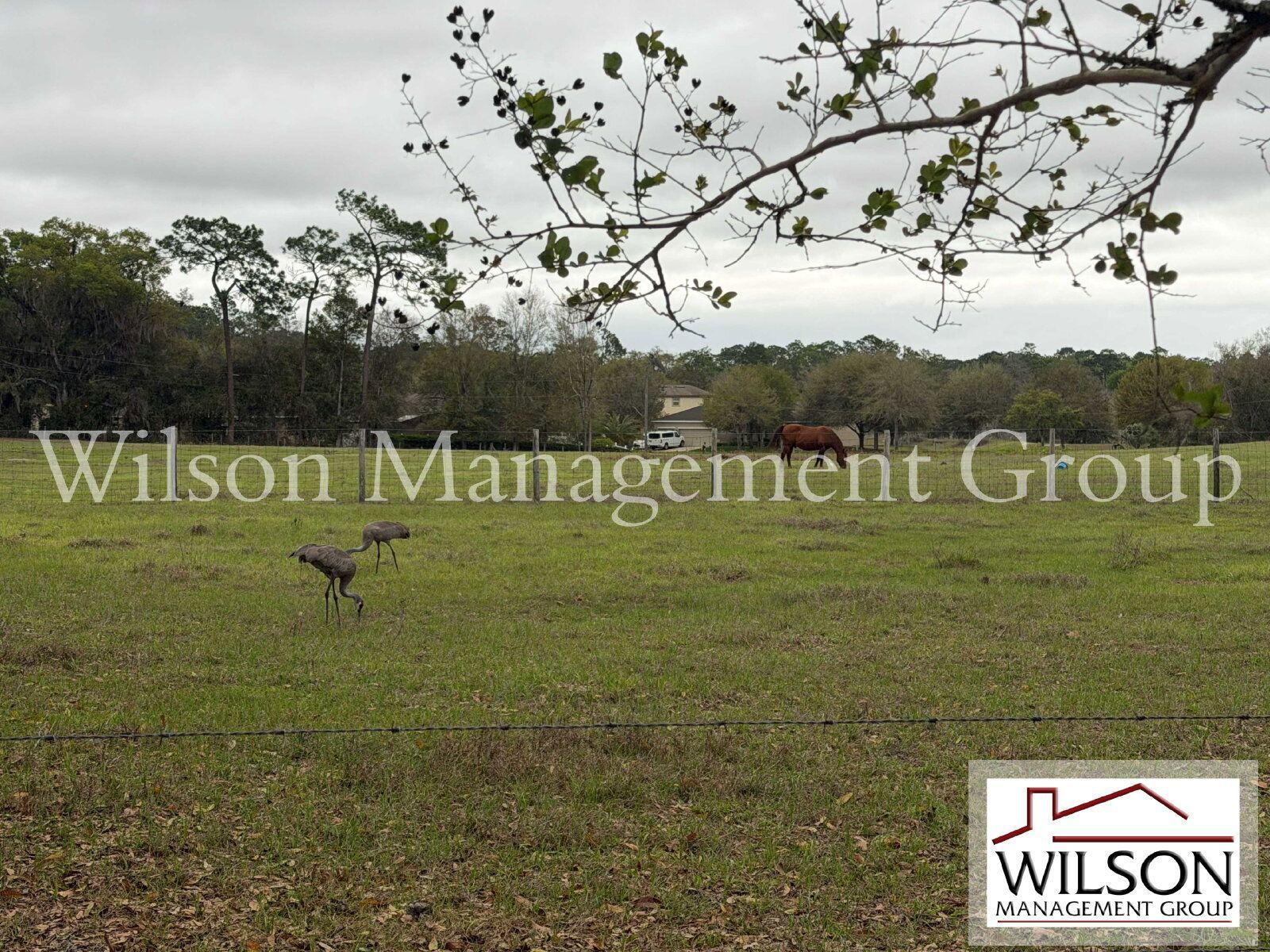 3/2 Spacious Villa With Huge Great Room And Meadow Views property image